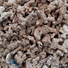 Most popular new crop high quality dried ginger in nigeria